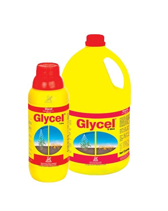 Glycel