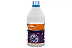 Delegate (ડેલીગેટ)